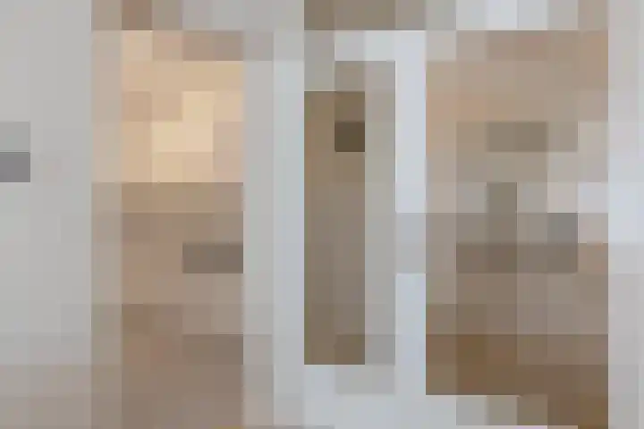 Hartenvier 19 Best thumbnail 22