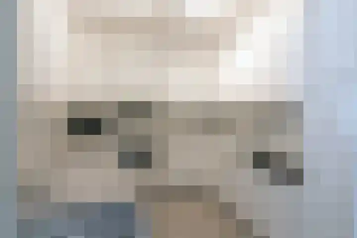 Hartenvier 19 Best thumbnail 23