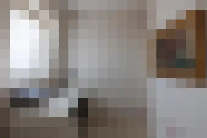 Hartenvier 19 Best thumbnail 29