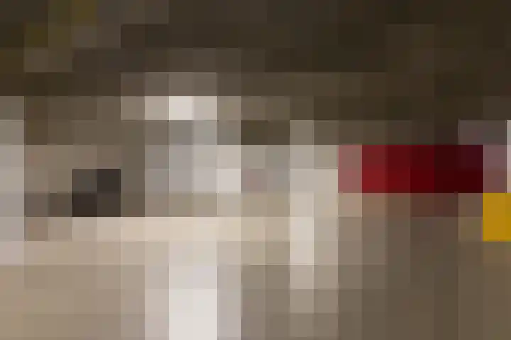 Hartenvier 19 Best thumbnail 41