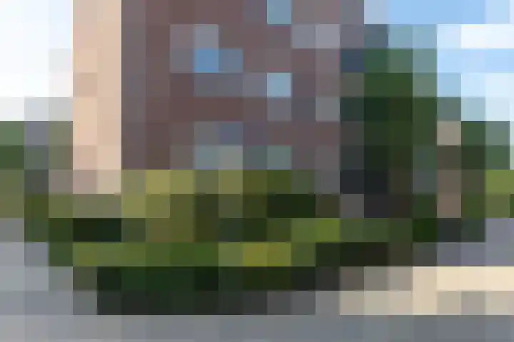 Hartenvier 19 Best thumbnail 44