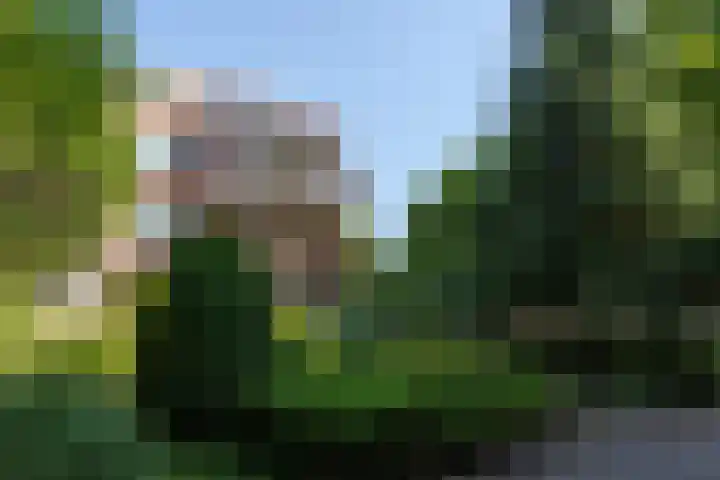 Hartenvier 19 Best thumbnail 45