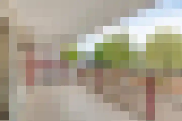 Hartenvier 59 Best thumbnail 15