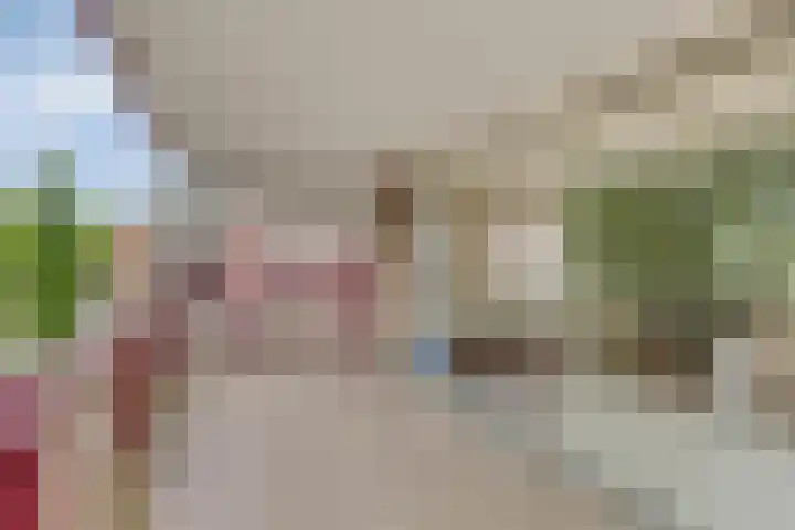 Hartenvier 59 Best thumbnail 16