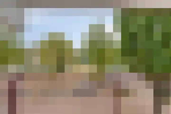 Hartenvier 59 Best thumbnail 17