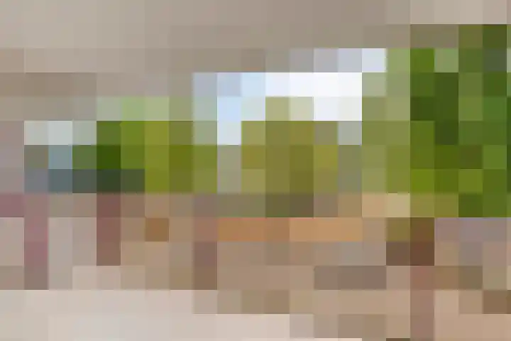Hartenvier 59 Best thumbnail 18