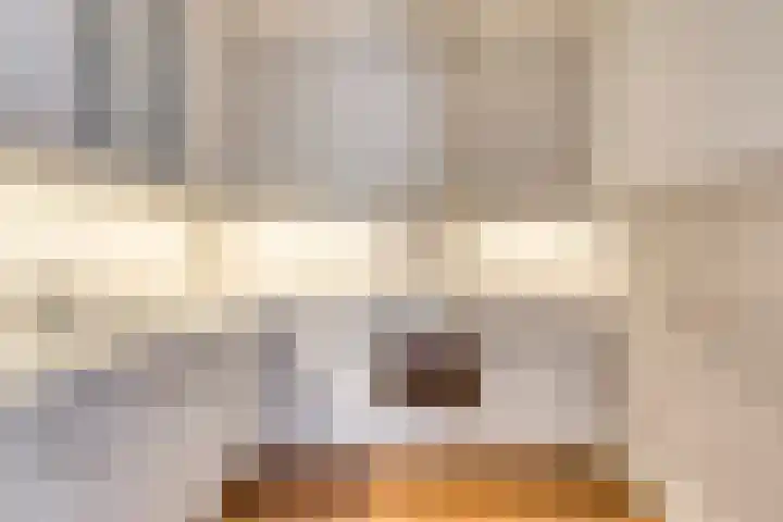 Hartenvier 59 Best thumbnail 21