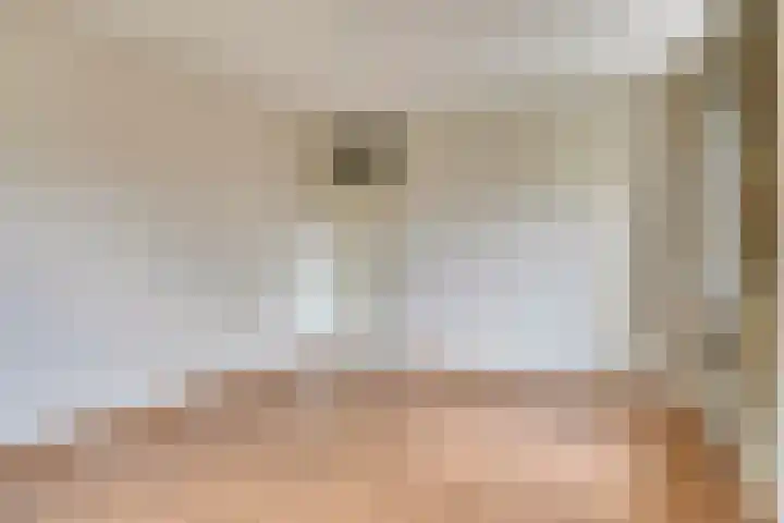 Hartenvier 59 Best thumbnail 23