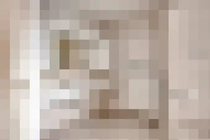 Hartenvier 59 Best thumbnail 24