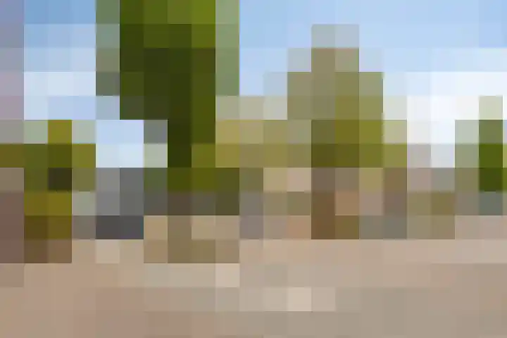 Hartenvier 59 Best thumbnail 34