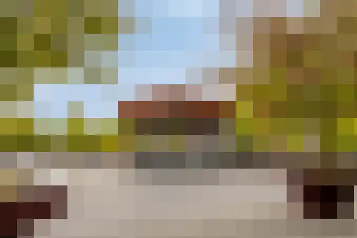 Hartenvier 59 Best thumbnail 35