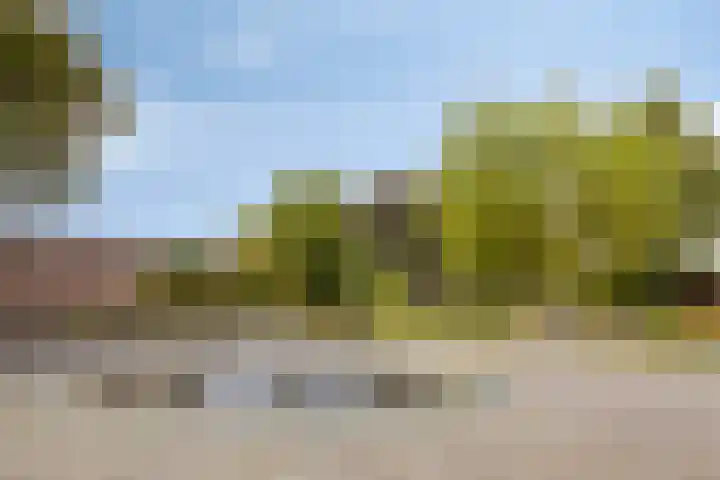 Hartenvier 59 Best thumbnail 36