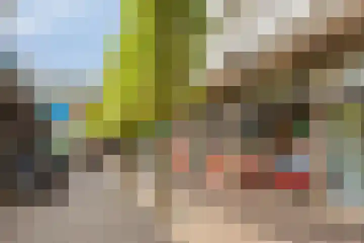 Hartenvier 59 Best thumbnail 37