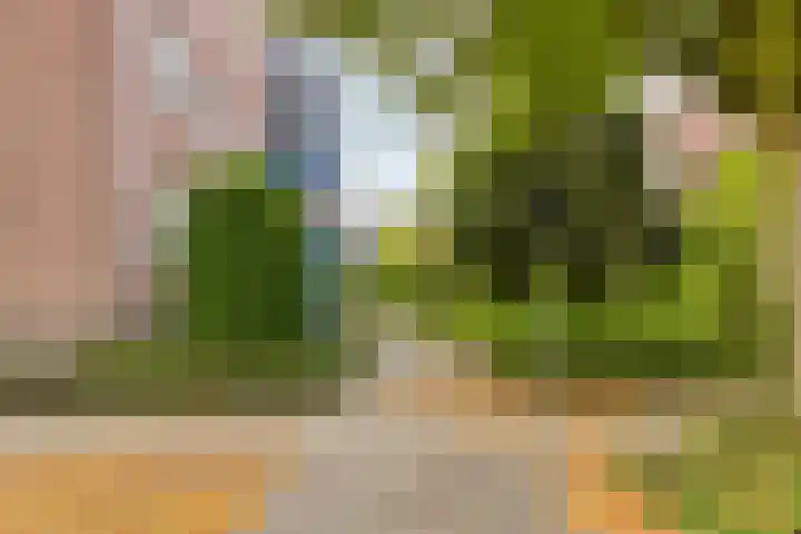 Hartenvier 59 Best thumbnail 4
