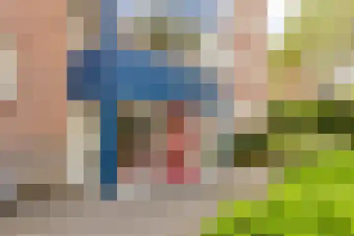 Hartenvier 59 Best thumbnail 5