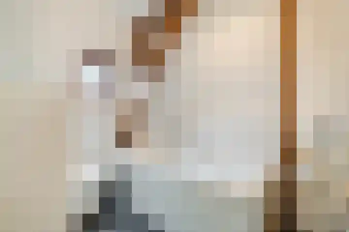 Hartingstraat 2 BS Utrecht thumbnail 29