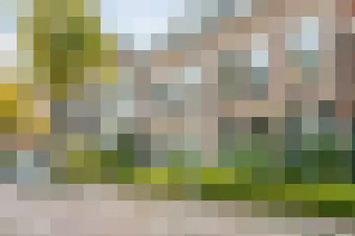 Hartingstraat 2 BS Utrecht thumbnail 4