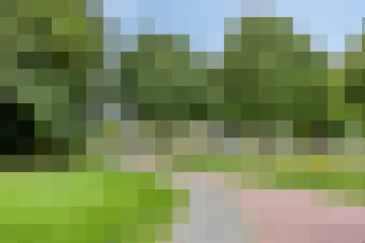 Hartkampweg 7 Raalte thumbnail 10