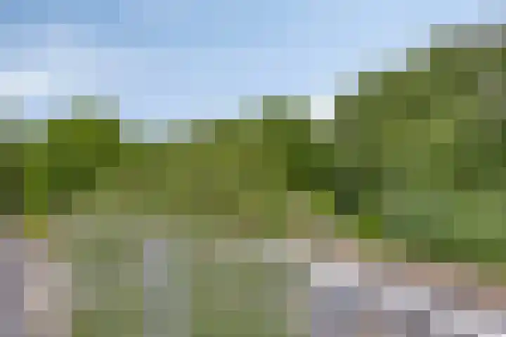 Hartkampweg 7 Raalte thumbnail 23