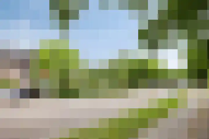 Hartkampweg 7 Raalte thumbnail 9