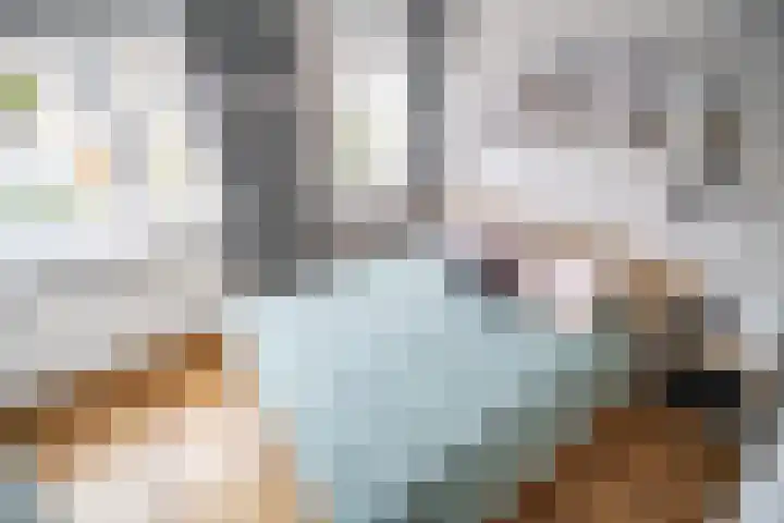 Hartmanstraat 11 Leiden thumbnail 39