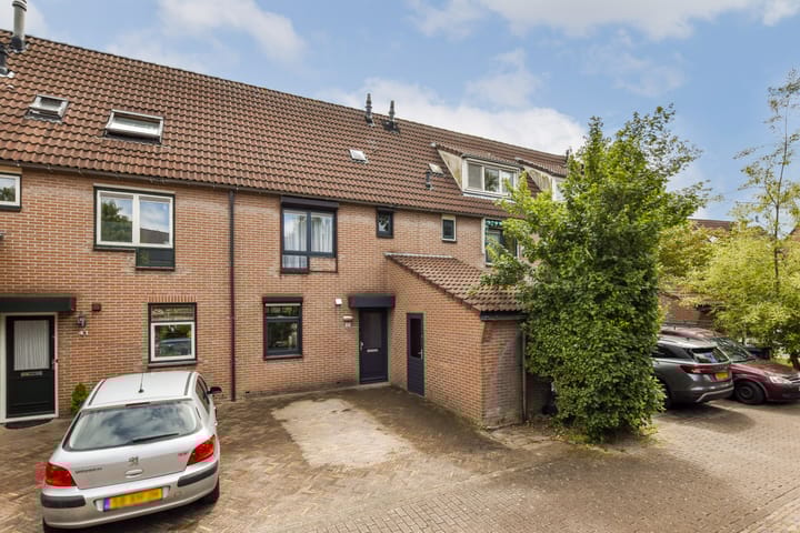 Hartschelp 43 in Diemen foto