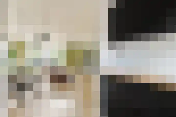 Hartschelp 43 Diemen thumbnail 7