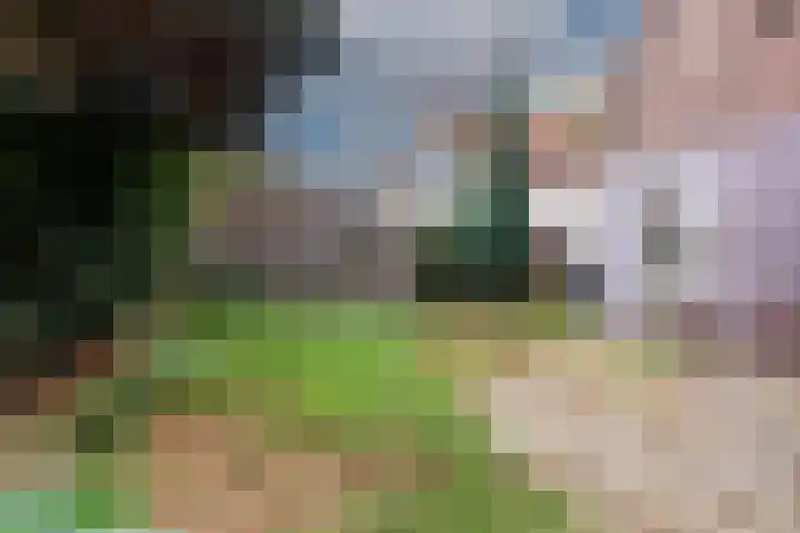 Hartweg 3 Soest thumbnail 16
