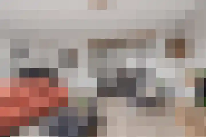 Haruku 38 Barneveld thumbnail 15