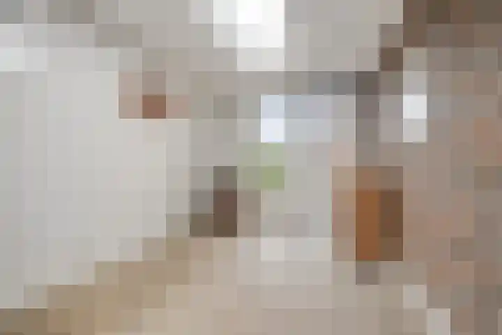 Haruku 38 Barneveld thumbnail 18
