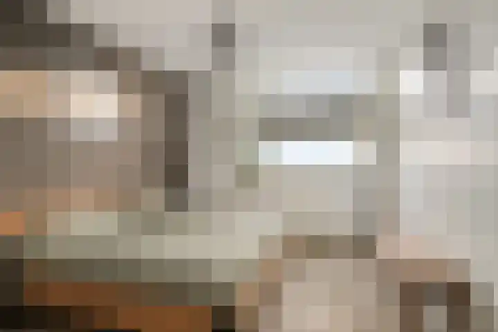 Haruku 38 Barneveld thumbnail 20