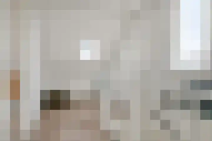 Haruku 38 Barneveld thumbnail 28