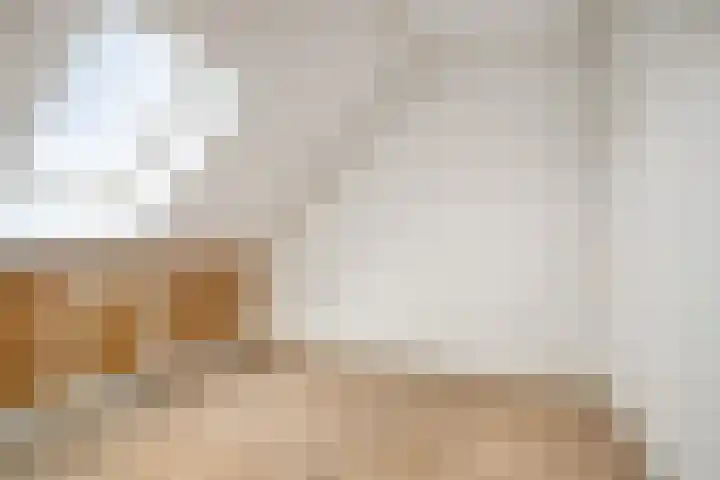 Haruku 38 Barneveld thumbnail 31