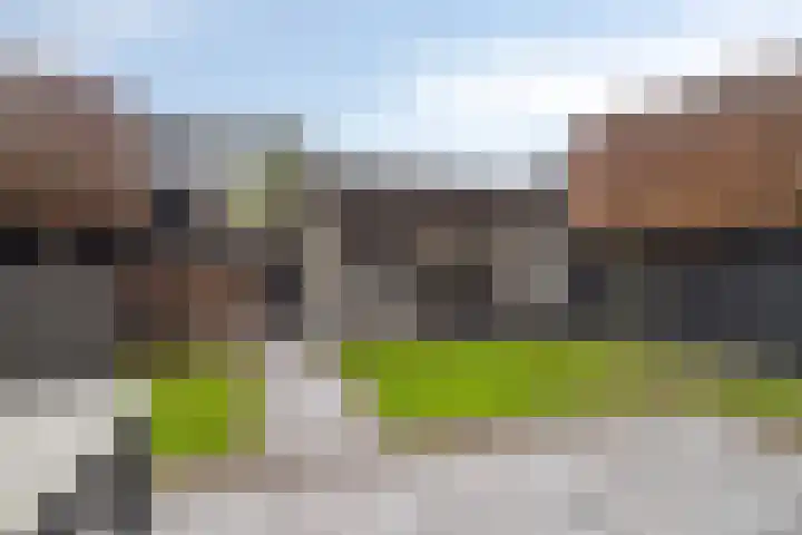 Haruku 38 Barneveld thumbnail 34