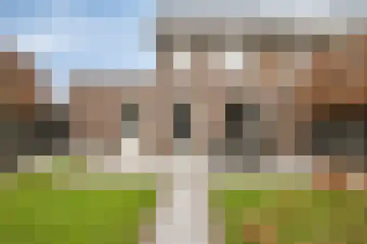 Haruku 38 Barneveld thumbnail 37
