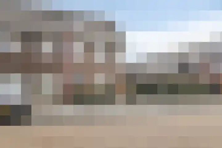 Haruku 38 Barneveld thumbnail 38
