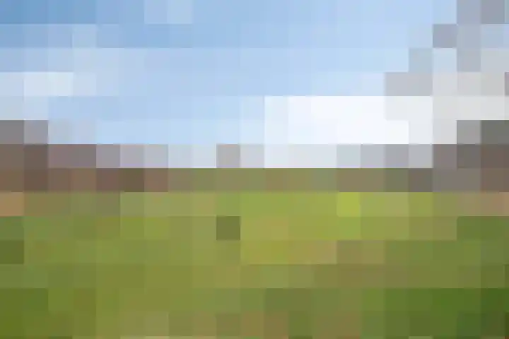 Haruku 38 Barneveld thumbnail 40