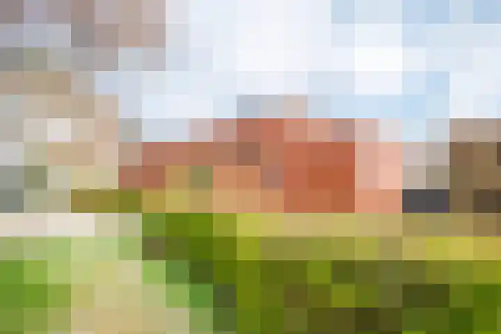 Harz 41 Doetinchem thumbnail 34