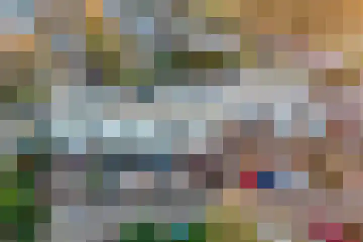 Haselackers 51 Emmen