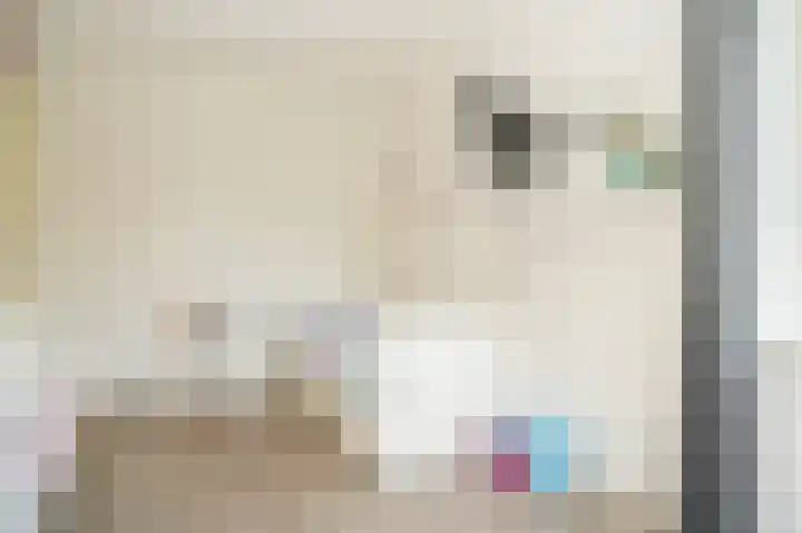 Haselcamp 33 Horssen thumbnail 20