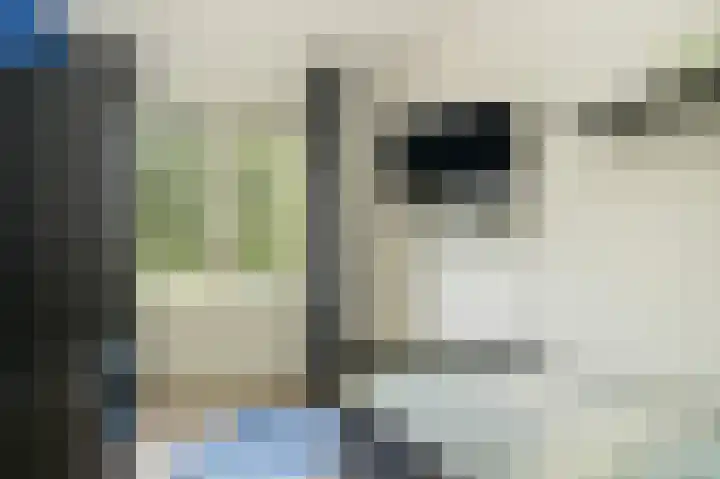 Haselcamp 33 Horssen thumbnail 21