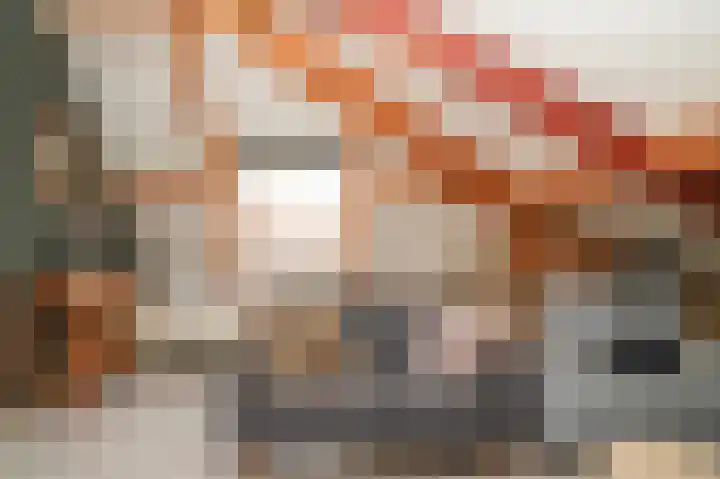 Haselcamp 33 Horssen thumbnail 26