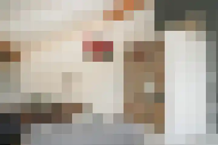 Haselcamp 33 Horssen thumbnail 27