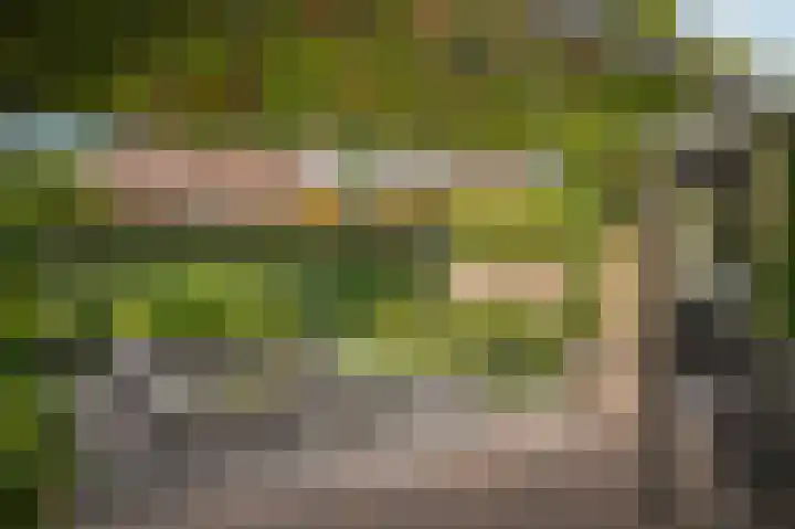 Haselcamp 33 Horssen thumbnail 32