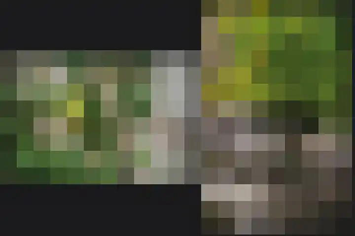 Haselcamp 33 Horssen thumbnail 33