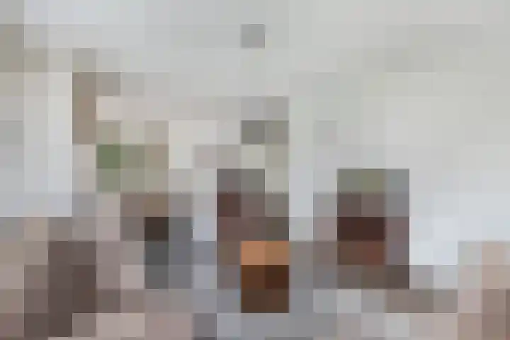 Haskermieden 6 Oudehaske thumbnail 10