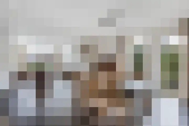 Haskermieden 6 Oudehaske thumbnail 14