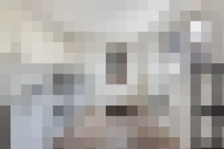 Haskermieden 6 Oudehaske thumbnail 18