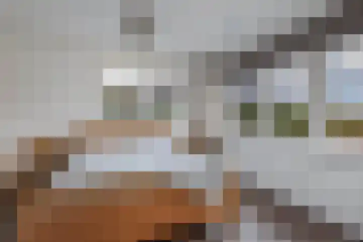 Haskermieden 6 Oudehaske thumbnail 22
