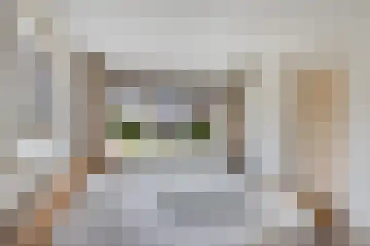 Haskermieden 6 Oudehaske thumbnail 23